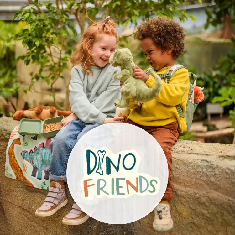 Zwei Kinder im Kindergartenalter spielen mit verschiedenem Dino-Spielsachen